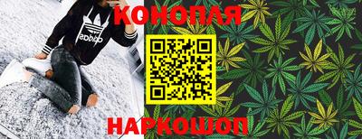 стафф Бийск