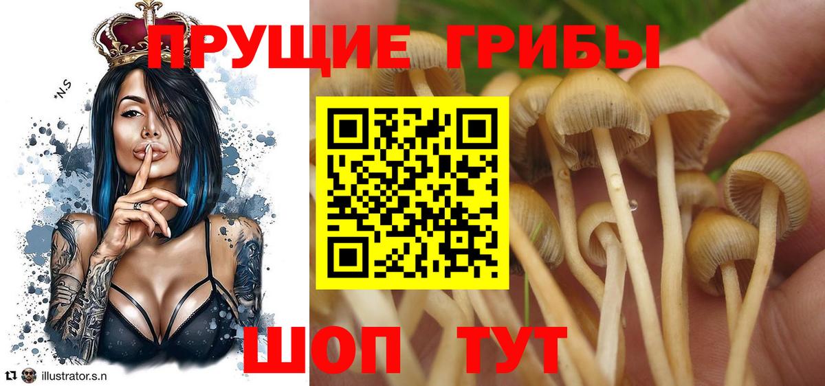 Аргун  Галлюциногенные грибы ЛСД  Вход с VPN 