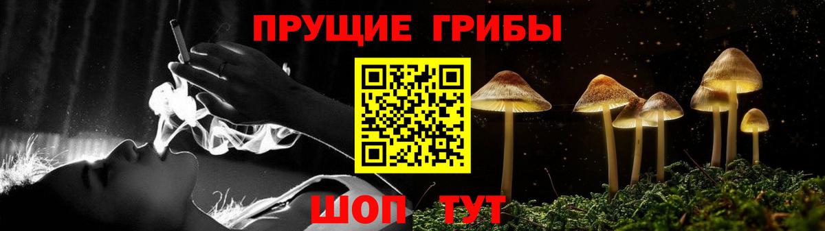 Галлюциногенные грибы MAGIC MUSHROOMS Аргун