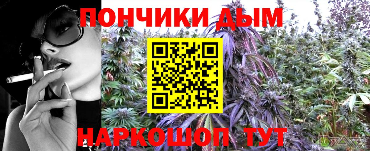 МАРИХУАНА планчик Аргун